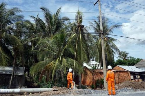 Điện lực Trà Vinh đảm bảo cấp điện an toàn, liên tục trong mùa mưa bão