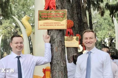 Khánh thành 'Vườn thông Hữu nghị' rộng hơn 10.000m2 tại Thành phố Hồ Chí Minh