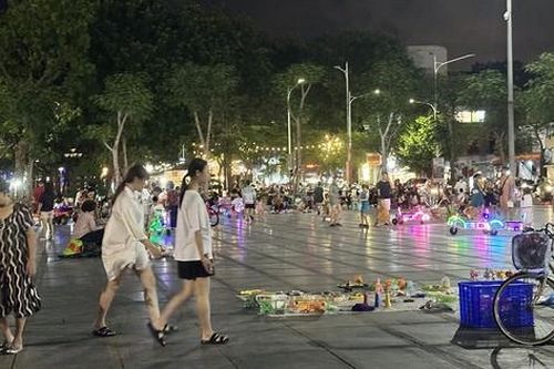 Hải Phòng: Dải vườn hoa trung tâm lộn xộn, nhếch nhác