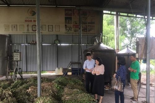 Đánh giá thực tế sản xuất sản phẩm công nghiệp nông thôn tiêu biểu khu vực miền Trung-Tây Nguyên