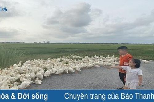 Để con trẻ trưởng thành hơn sau những mùa hè