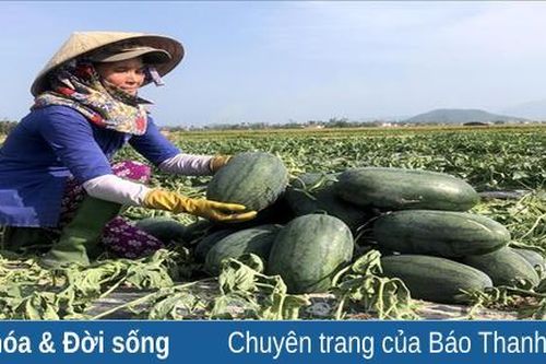 Nóng - lạnh đời người