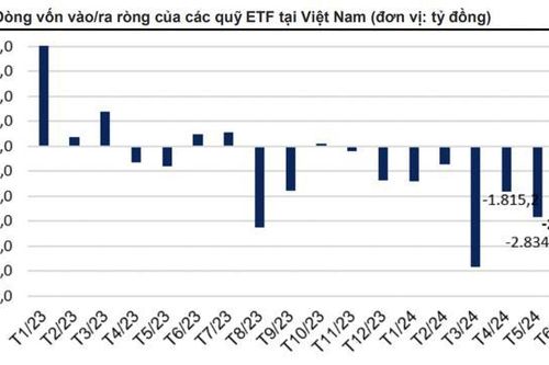 Các ETF đua nhau báo lỗ ở Việt Nam, đây là lý do khiến bị rút ròng 14 nghìn tỷ?