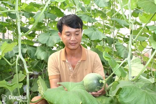 Hỗ trợ nông dân khởi nghiệp làm giàu