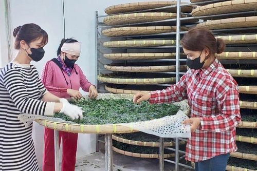 Gia Lai: Khó khăn trong giải thể các hợp tác xã ngừng hoạt động