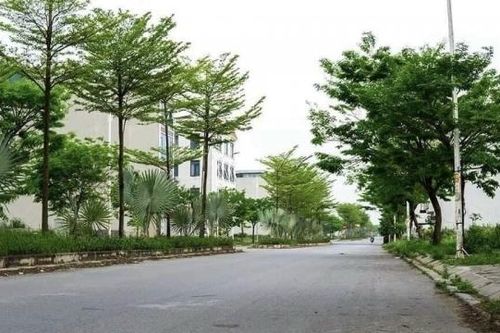 Thẩm quyền và phạm vi, trách nhiệm của Bộ Xây dựng trong việc ban hành định mức lĩnh vực cây xanh, chiếu sáng