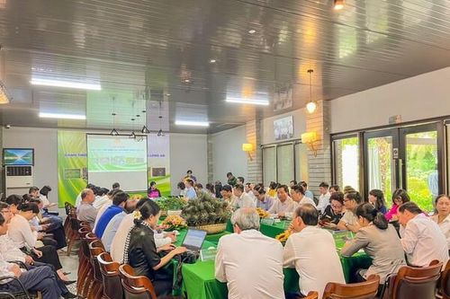 Đánh thức tiềm năng du lịch nông thôn Long An