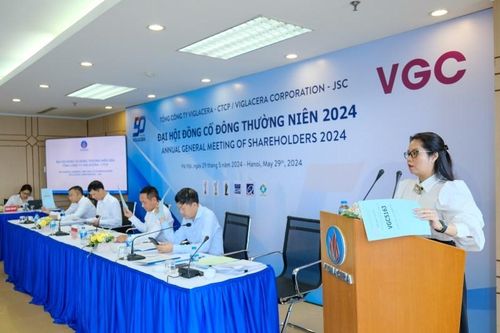 Bà Trần Thị Minh Loan làm Phó Tổng giám đốc Viglacera