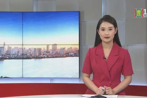 Chương trình Thời sự 11h30 | 06/07/2024