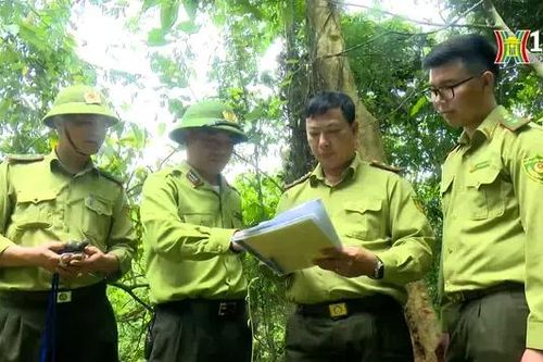 Quản lý và bảo vệ vườn quốc gia Ba Vì | Tạp chí kiểm lâm | 29/06/2024