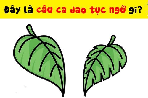10 người thì 9 người không đoán ra câu tục ngữ này trong 3 giây