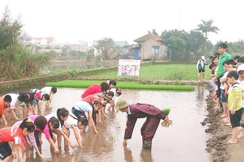 Hồng Vân - điểm du lịch hấp dẫn của Thủ đô