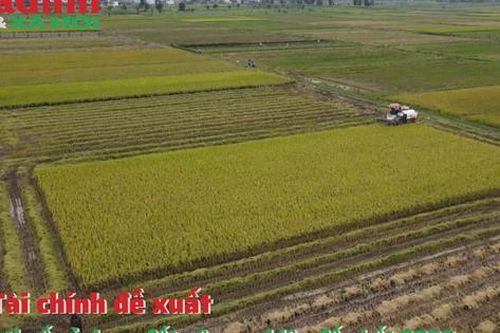 Bộ Tài chính đề xuất miễn thuế sử dụng đất nông nghiệp đến hết 2030