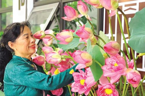 Lễ hội Sen Hà Nội lần thứ nhất: Nâng tầm sen Việt