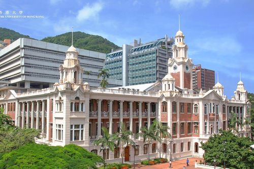 Bê bối làm bằng giả gây rúng động ngành giáo dục Hong Kong