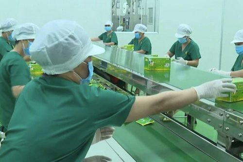 Trà Tâm Lan phát triển nông nghiệp bền vững gắn với du lịch xanh