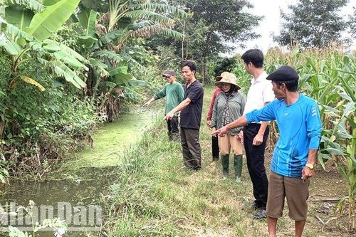Đắk Lắk tăng cường phòng, chống bệnh viêm não Nhật Bản