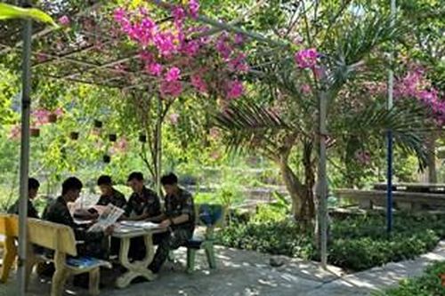 Mát, xanh trên đảo tiền tiêu