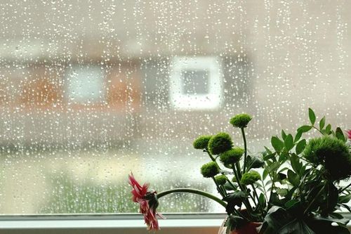 Những mùa mưa ngang qua