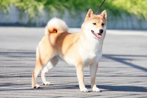 Từ tháng 6 Âm: 4 tuổi tài lộc bừng sáng, sự nghiệp lên vun vút