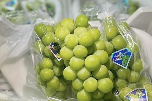 Nho ngoại giá rẻ như rau, thị sáp đầu mùa siêu đắt vẫn 'cháy hàng'