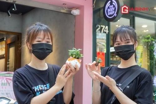 Đổi quần áo cũ lấy cây xanh