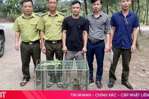 Bàn giao 3 cá thể động vật quý hiếm cho Vườn Quốc gia Vũ Quang