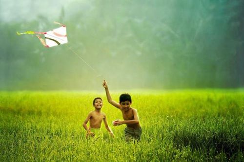 Hương của nắng