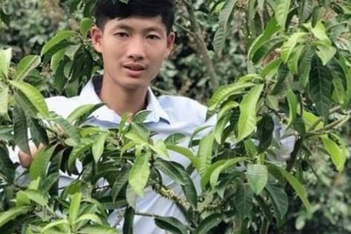 'Bắt' loại cây quen thuộc ra quả nghịch vụ, 8x Thanh Hóa thu về 2 tỷ đồng/năm