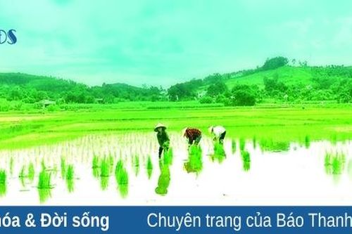Mùa nắng nóng