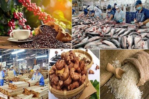 Xuất khẩu nông, lâm, thủy sản đạt kỷ lục trong nửa đầu năm 2024