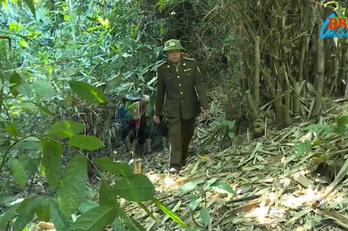 Mường Chà ứng dụng công nghệ vào quản lý, bảo vệ rừng