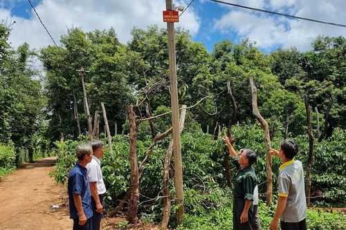 'Ánh sáng, camera và tiếng kẻng an ninh' góp phần bảo đảm bình yên thôn làng