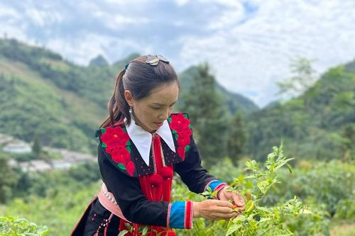 Phân công 308 lượt hội viên tham gia giúp đỡ 25 hộ nghèo do phụ nữ làm chủ
