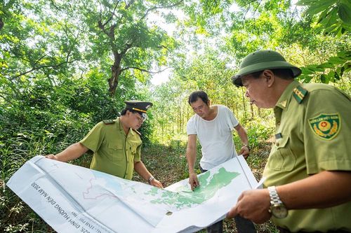 Độc đáo rừng lim Ba Hố