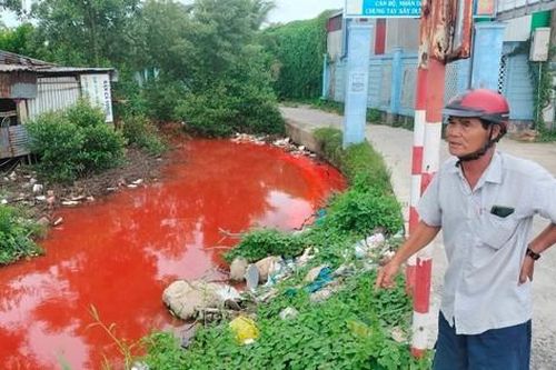 Bản tin 8H: Nguyên nhân nước kênh ở Cà Mau đỏ bất thường