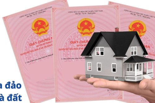 Bị lừa mua đất, đôi vợ chồng 'hồn nhiên' dọn đến bãi lưu không để sinh sống