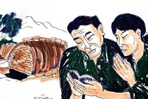 Vòng xòe nở hoa