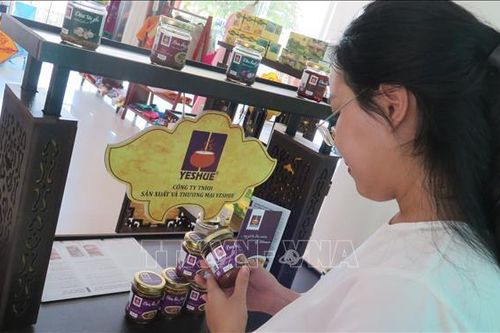 Lan tỏa và nâng tầm văn hóa ẩm thực xứ Huế