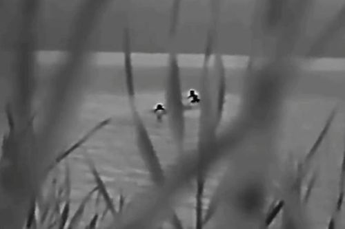 Binh sĩ Ukraine dùng bè tự chế băng qua sông Dnieper đầu hàng Nga