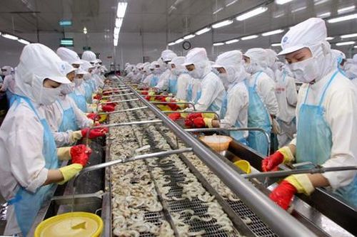Cà Mau tổ chức xúc tiến thương mại ngoài nước để hỗ trợ doanh nghiệp