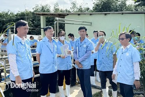 Các cơ sở chăn nuôi của huyện Xuân Lộc tuân thủ tốt các quy định về môi trường