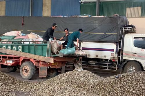 Tăng cường phối hợp để kiểm soát tốt khu vực cửa khẩu