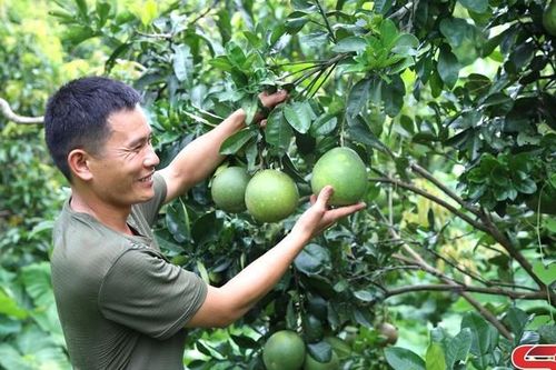 Đảng bộ xã Hua Păng lãnh đạo nhân dân phát triển kinh tế