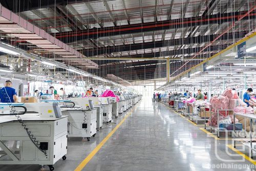 Thúc đẩy xuất khẩu địa phương