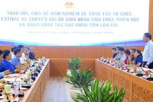 Trao đổi kinh nghiệm về chuyển đổi số và tổ chức festival