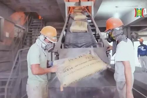 Tổng công ty xi măng Việt Nam bị thanh tra