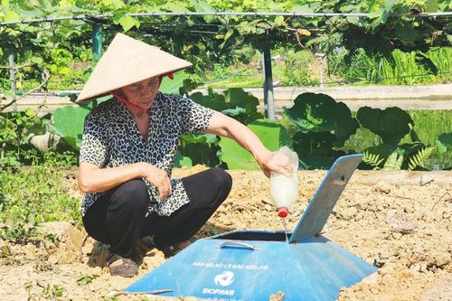 Bảo vệ môi trường gắn với xây dựng nông thôn mới