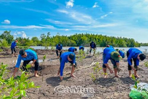 Góp sức trẻ làm đẹp quê hương