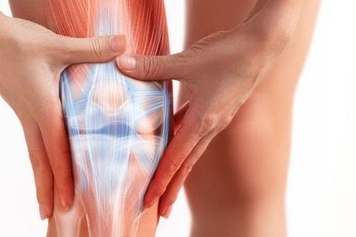 Thoái hóa khớp gối: Nguyên nhân, biểu hiện, điều trị và cách phòng bệnh